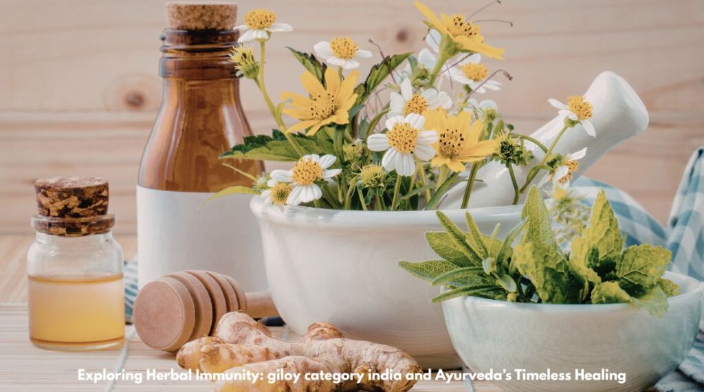 Exploring Herbal Immunity: giloy category india and Ayurveda’s Timeless Healing