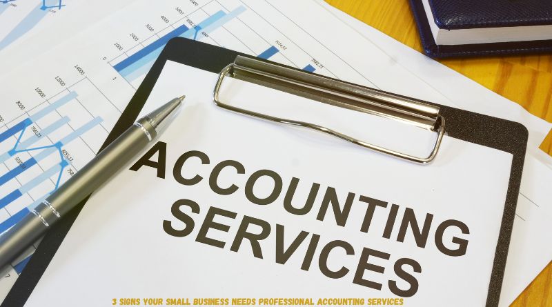 3 Signs Your Small Business Needs Professional Accounting Services
