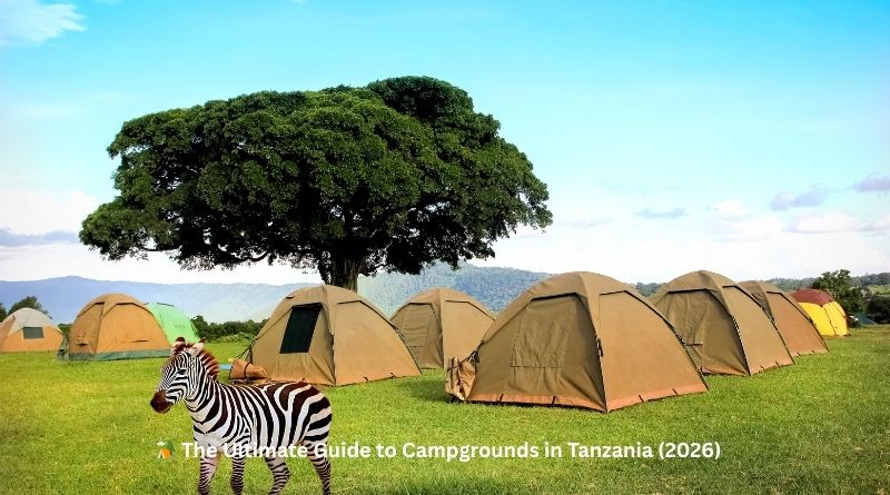 🏕️ The Ultimate Guide to Campgrounds in Tanzania (2026)